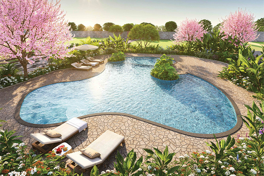 Sun-kissed Pool